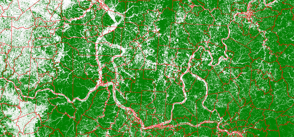Tree coverage data overlaid with US census tract boundaries.