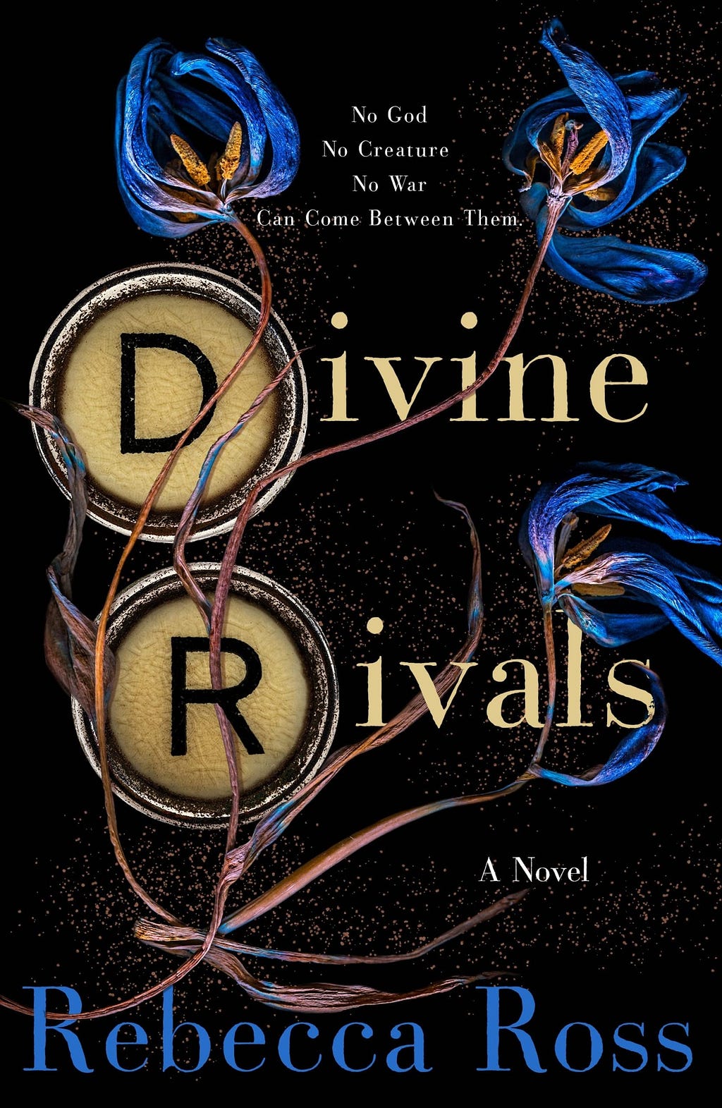 Divine Rivals (Letters of Enchantment #1) PDF