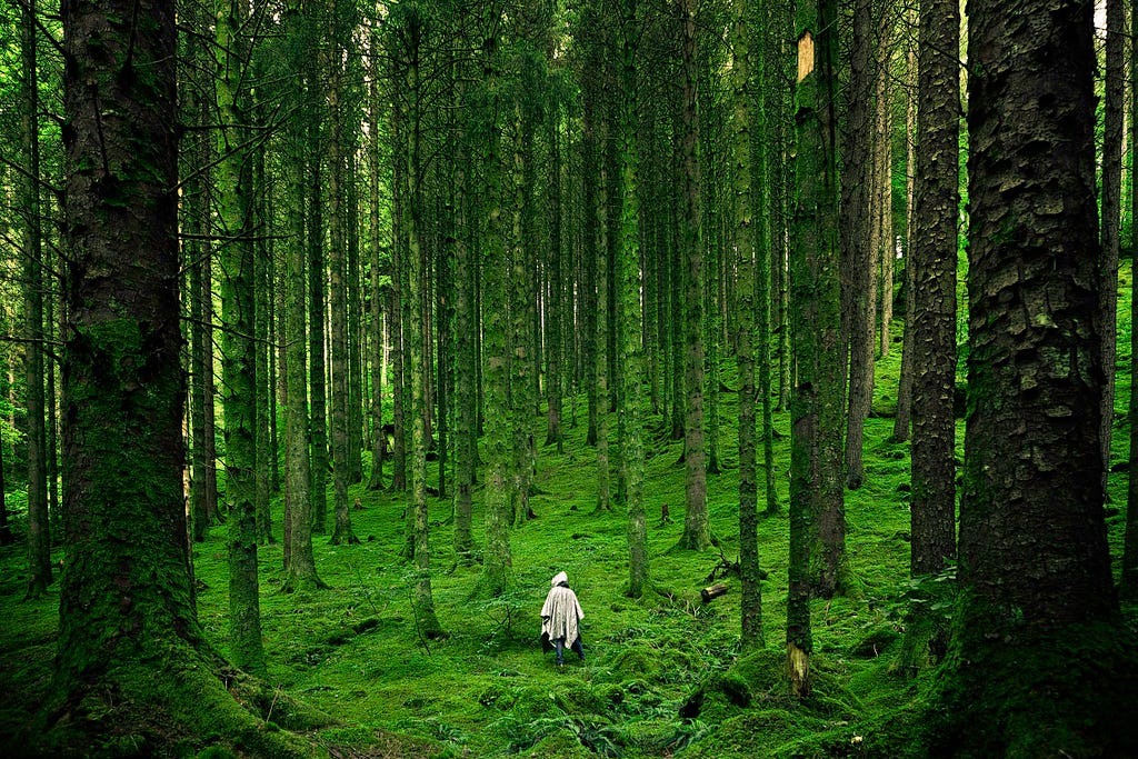 A man walking uphill through a dense forest.