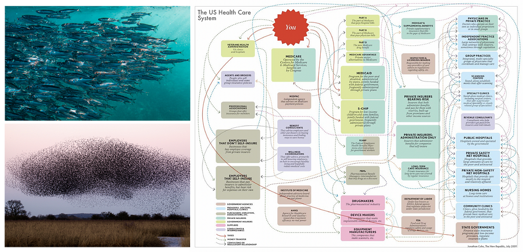 Collaged image of a school of fish, a murmuration of birds, and a highly complex diagram of the American health care system.