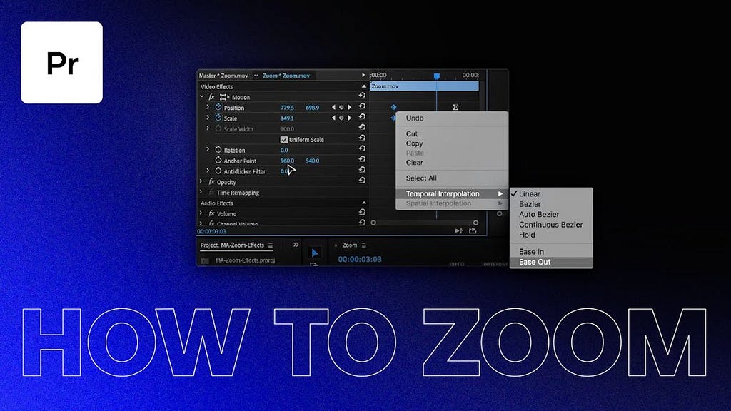 How to Zoom Out in Premiere Pro?