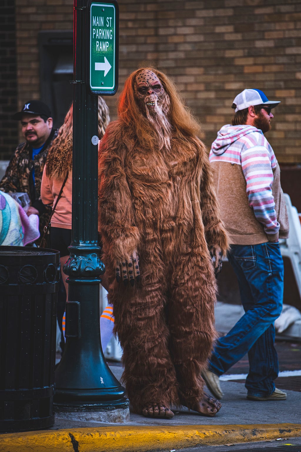 Can Data Science Find Bigfoot?