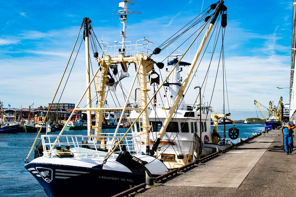 fishing vessels in the port of IJmuiden