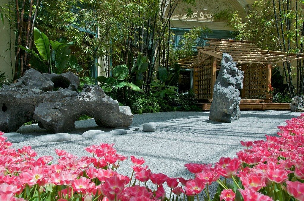 Japanese Zen gardens Plants