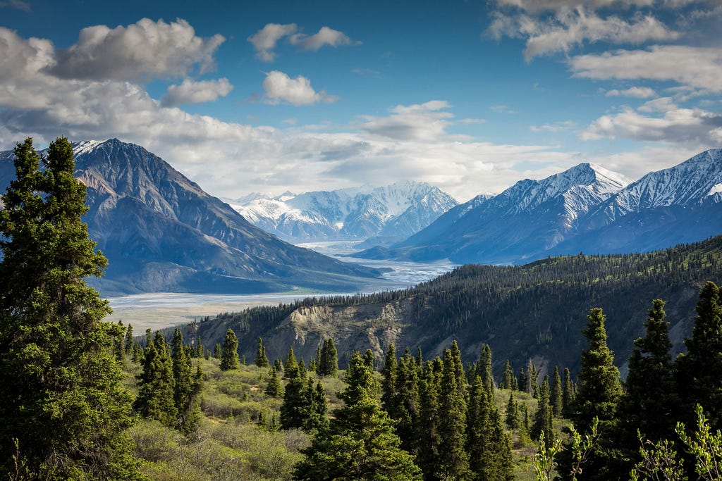 Mountain range with lush green pine trees and snow capped mountains