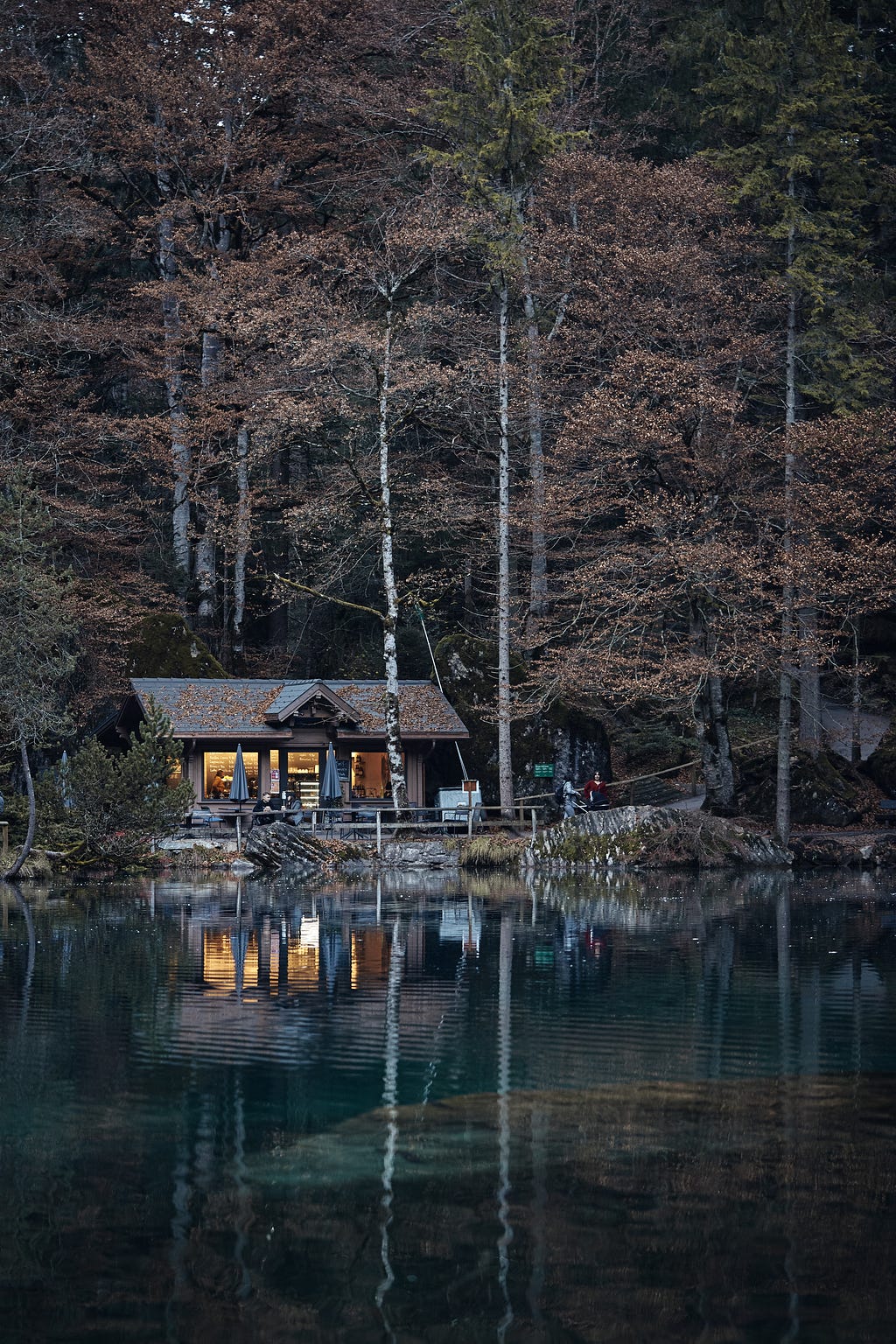 A cabin by a lake surrounded by trees