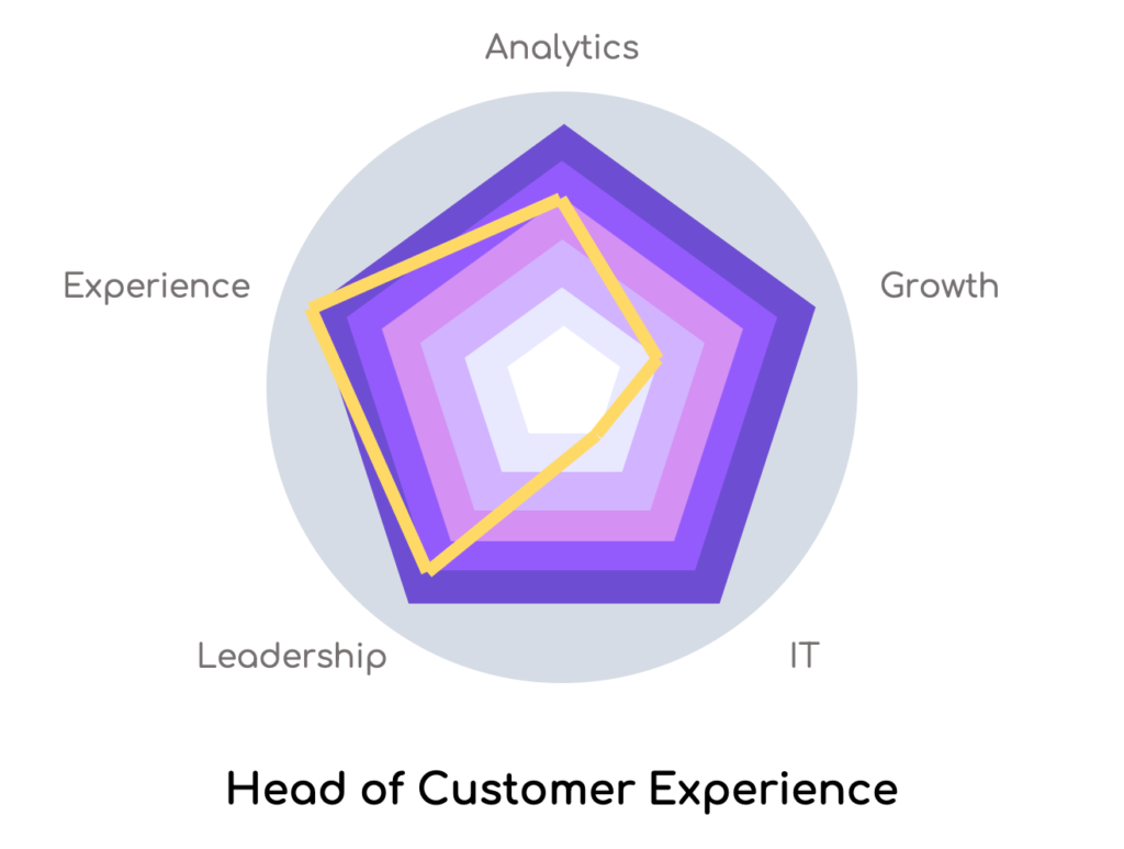 Head of Customer Experience Radar Chart