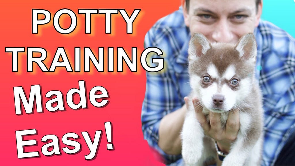 How to Train a Puppy to Pee Outside: A Step-by-Step Guide
