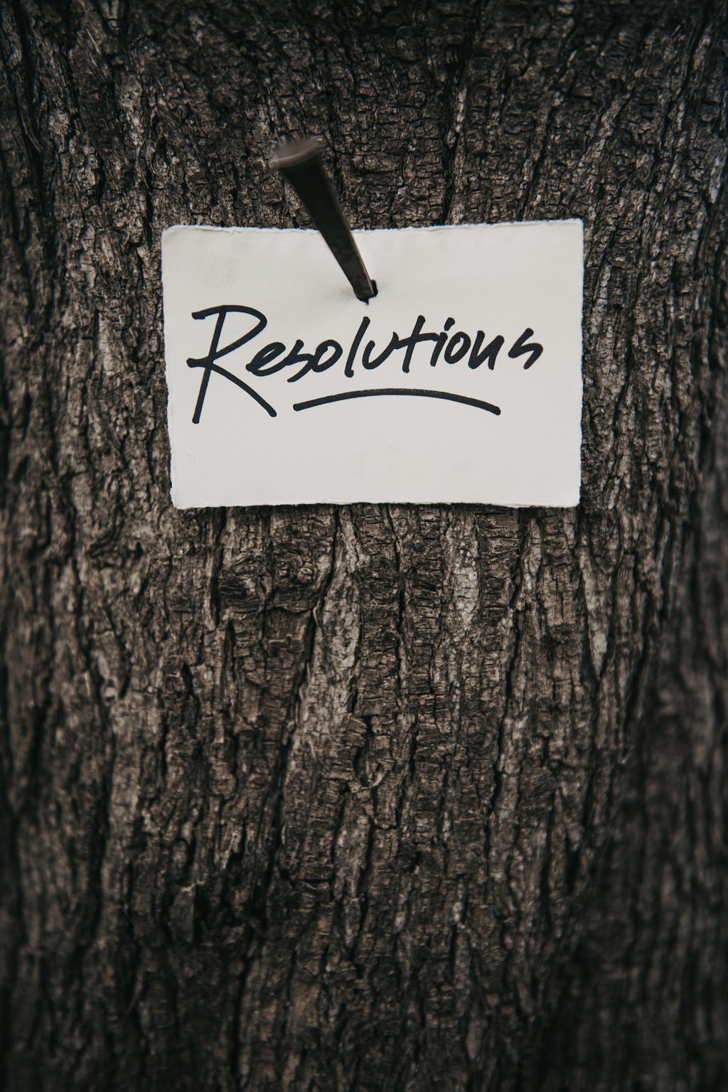 A sign reading “resolutions” is nailed to a tree.