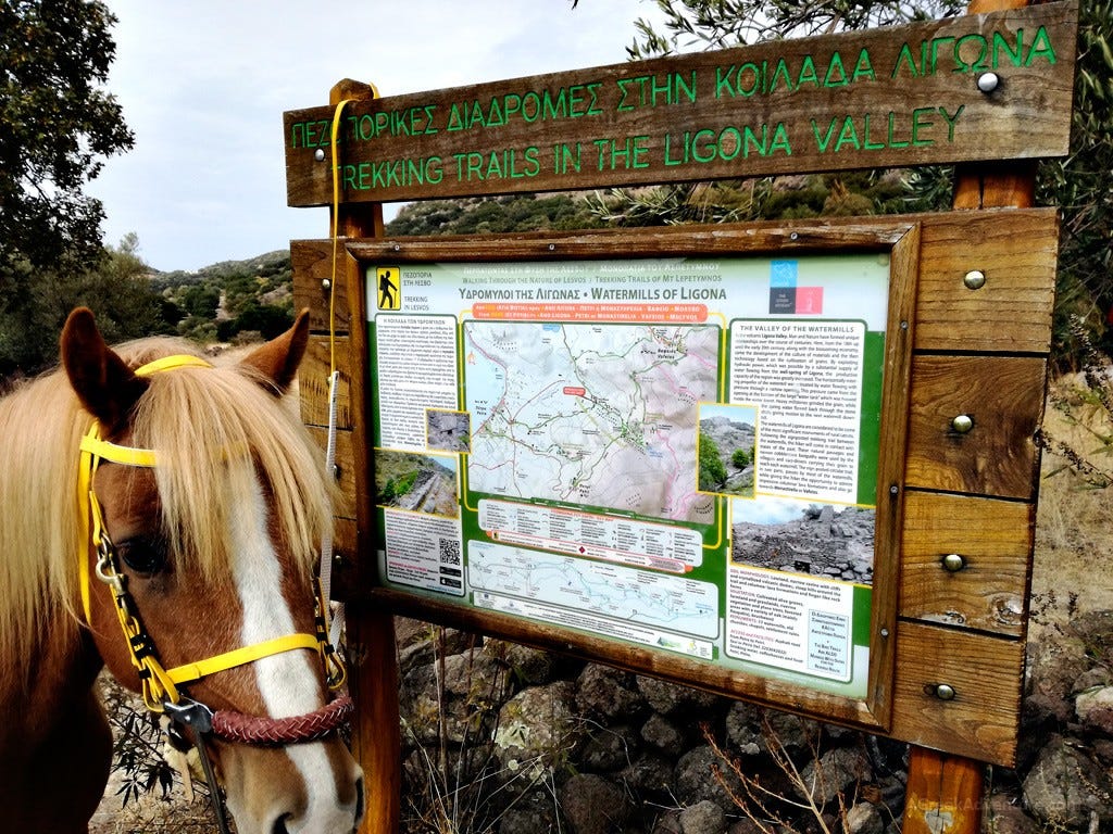 Lesvos HorseBack Riding and Hiking