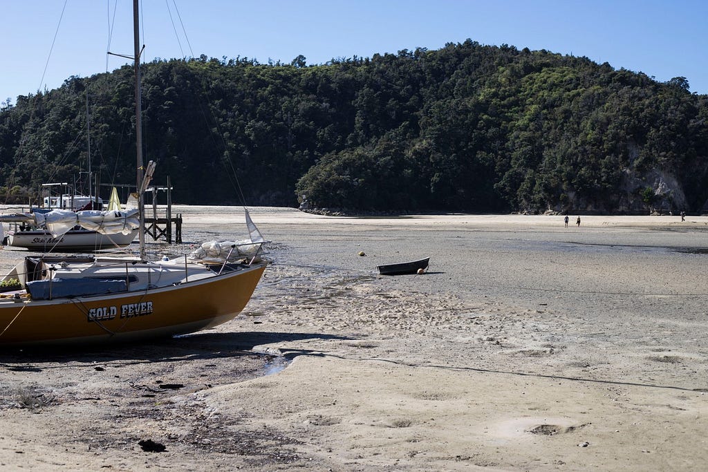 Abel Tasman: Low Tide Crossing