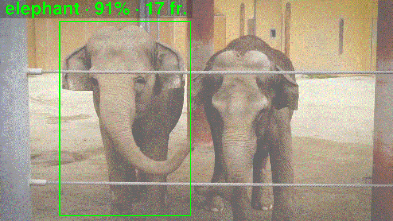 Elephant on the left