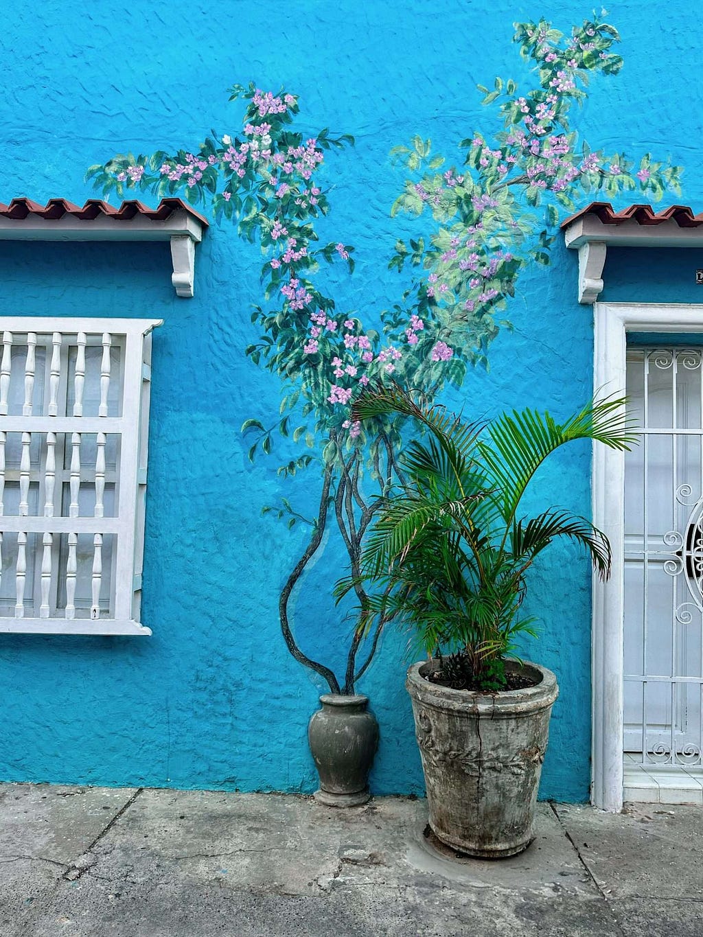 A vibrant blue wall in the Getsamani neighborhood of Cartagena, Colombia features a mural of flowering vines, with two real potted plants placed in front. A white window with bars and a white door with a decorative iron grille are also visible.