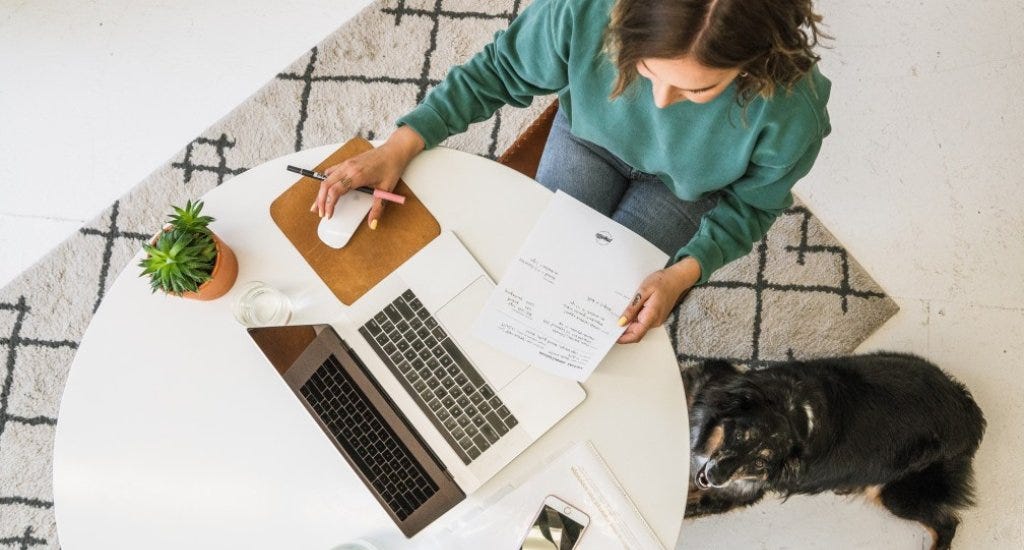 An entrepreneur hustles on her laptop while sitting next to her dog