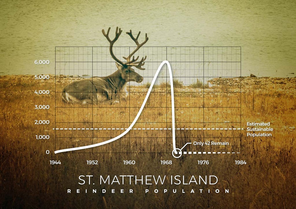 A graph showing the St. Matthew Island reindeer population collapse.
