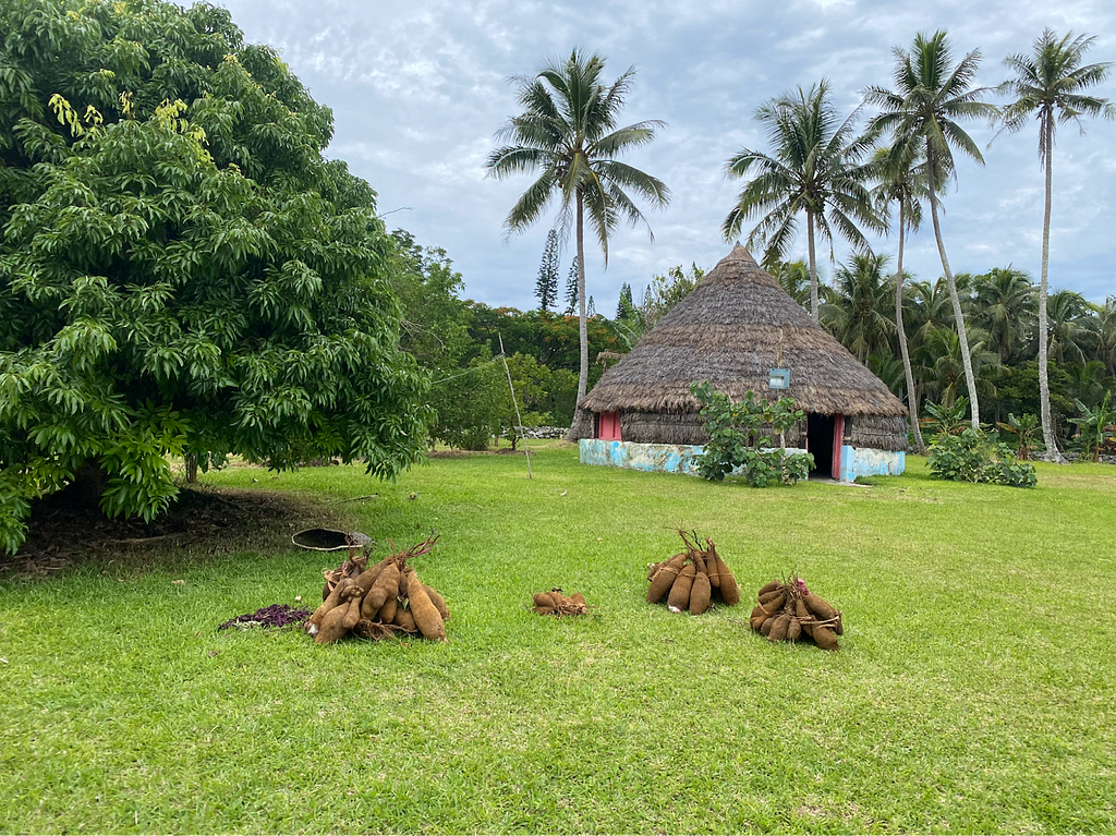 Yams that have been ceremonially blessed outside the meeting place of a Big Chief on Nengone (Maré), in the Loyalty Islands of New Caledonia.