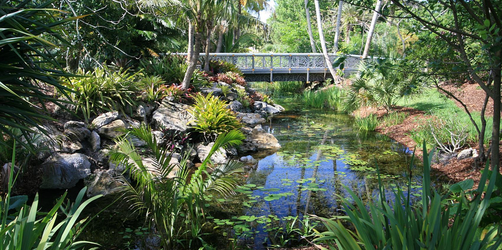 Explore the wide collection of wild plants and flowers at this botanical garden.