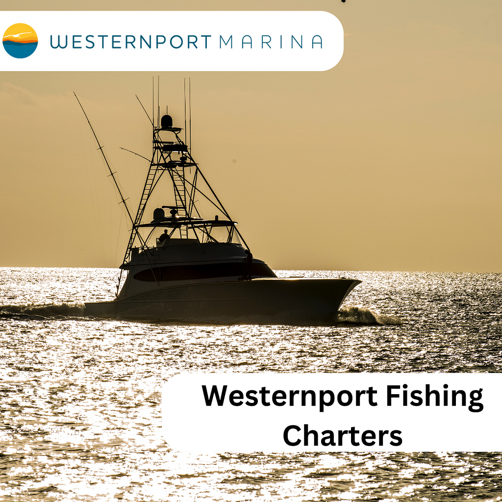westernport fishing charters