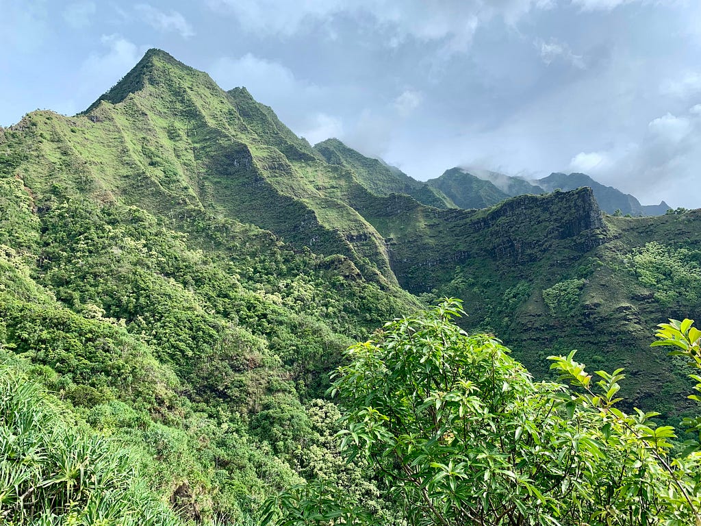 Hawaii Hike Captured with the Olympus OM-D E-M5 Mark III