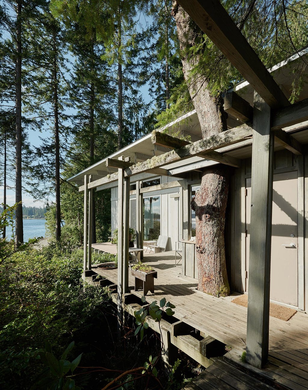 Outdoor, Side Yard, Wood Patio, Porch, Deck, Woodland, and Trees Over the years, the transformation of the retreat has respected the special character of the site and integrated the surrounding nature.&nbsp;