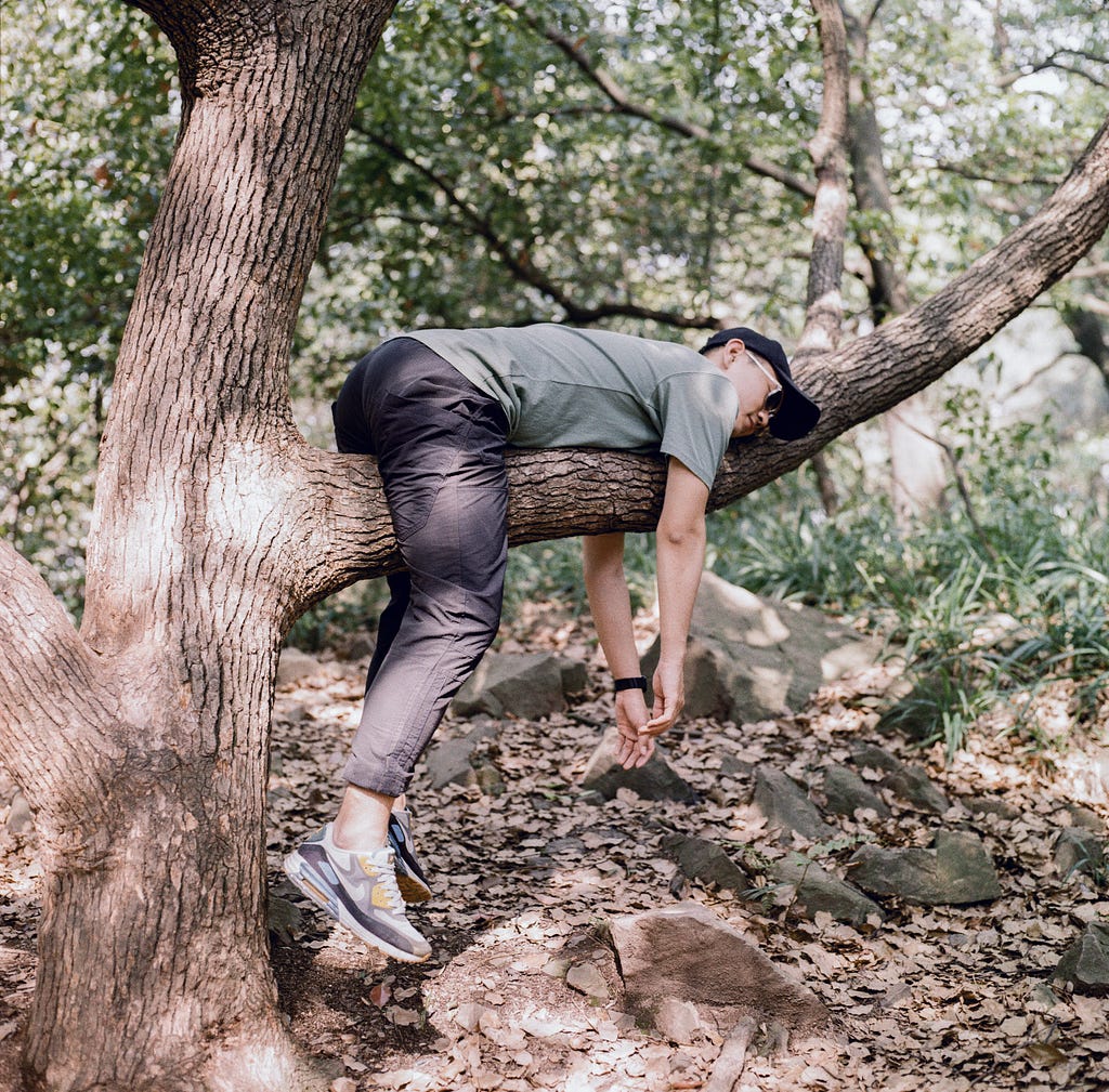 A person taking a relaxing nap on a forest tree branch