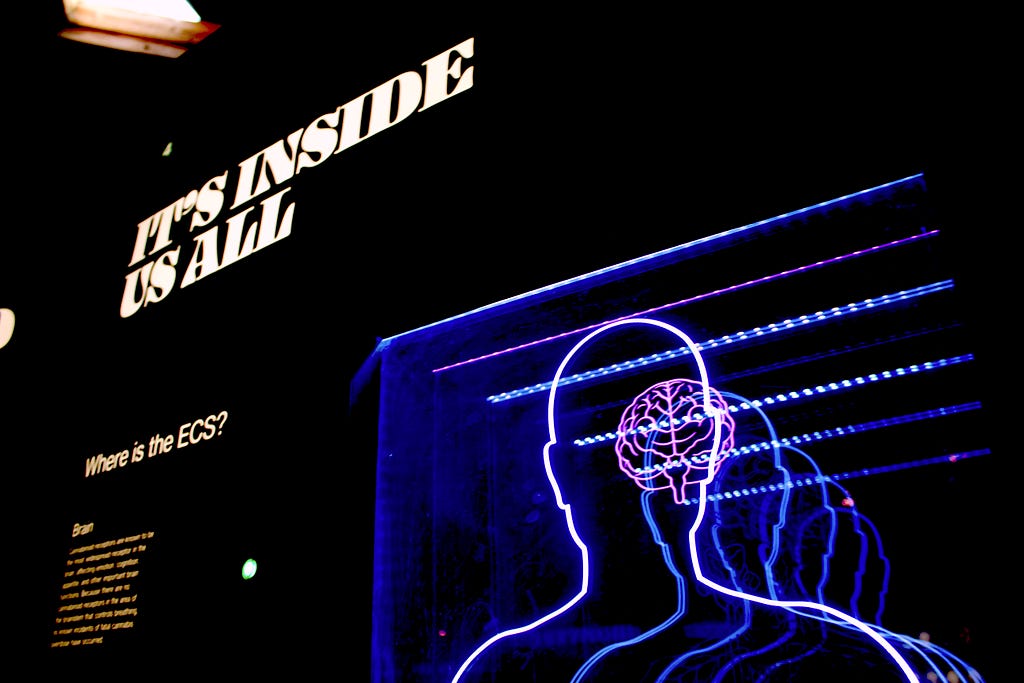 A museum display with white letters that says “it’s inside us all.” There’s a separate graphic showing the brain and an outline of a human head & shoulders.