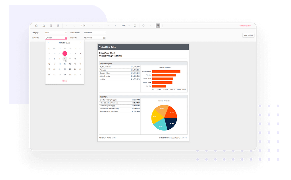 Report Viewer for SSRS Reports — User-friendly interface.