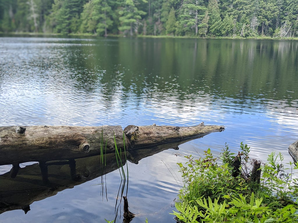 A landscape photo of a log sitting in a calm lake.