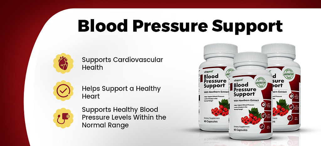Blood Pressure Support Review