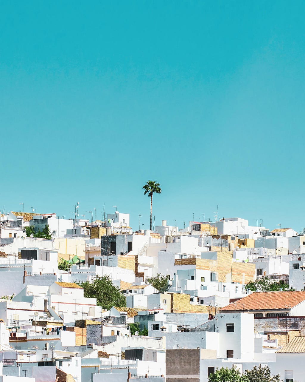 The skyline of a Spanish city with white adobe houses and palm trees.
