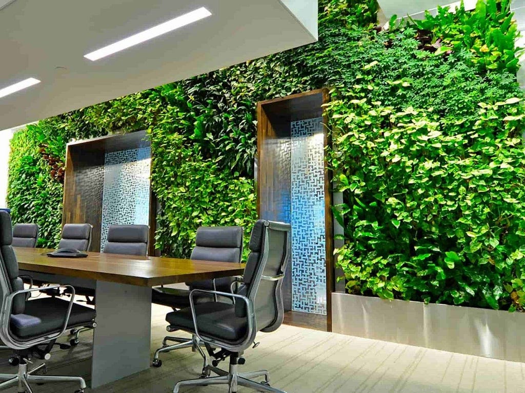 Office Indoor Plants