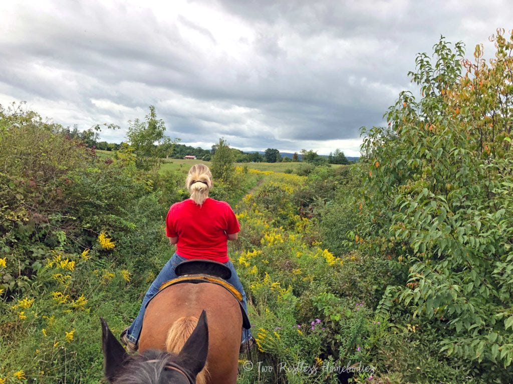 Trail riding with Painted Bar Stables in New York