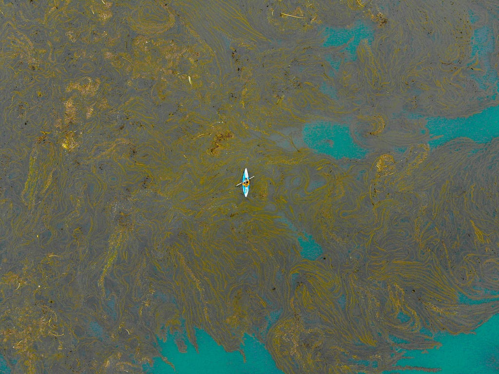 a boat amidst spilled oil in water body. what is oil pollution? What are the impacts of oil pollution?