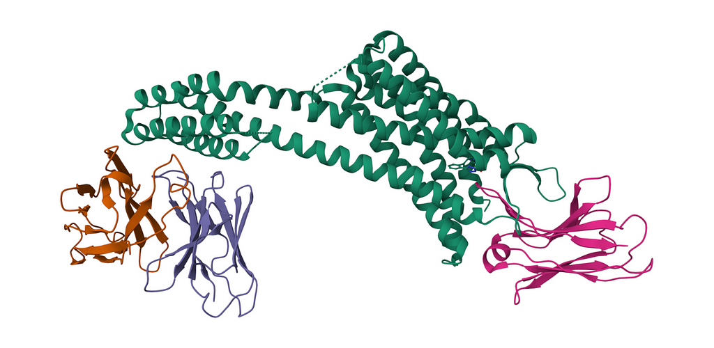 Structure of AT118-L Nanobody Antagonist in complex with the Angiotensin II Type I Receptor.