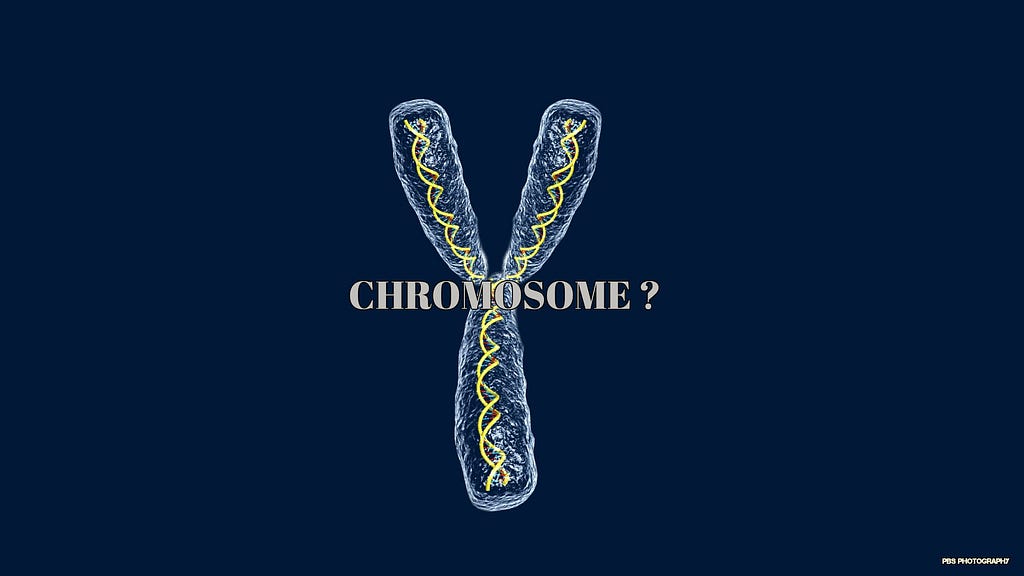 why_chromosome