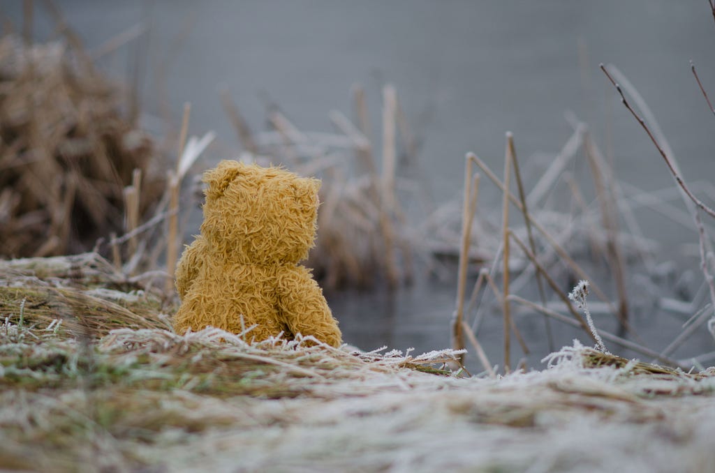 A teddy-bear sits alone next to a lake surrounded by sticks
