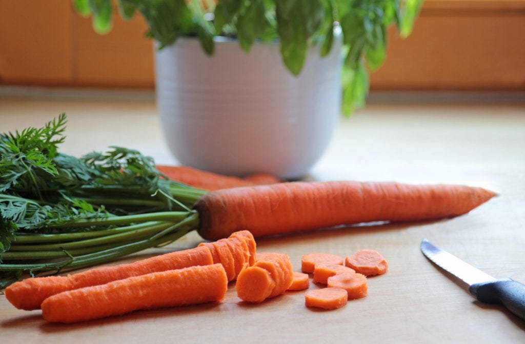 The Ultimate Guide To Growing Carrots Indoors