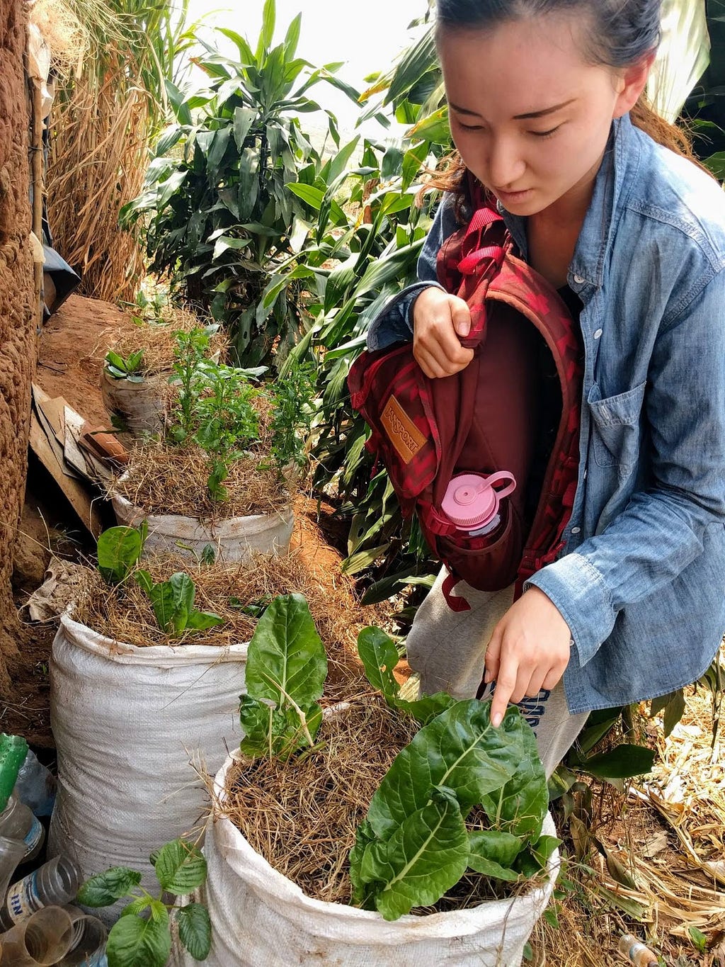 A student carrying a backpack walks through rows of plants, examining a potted plant in front of her.