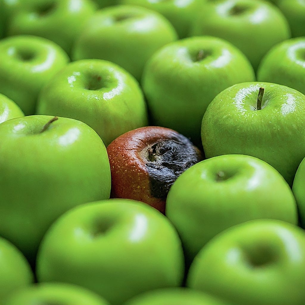 A single rotten apple amidst fresh green apples symbolizing the deception of greencrowding in environmental sustainability.