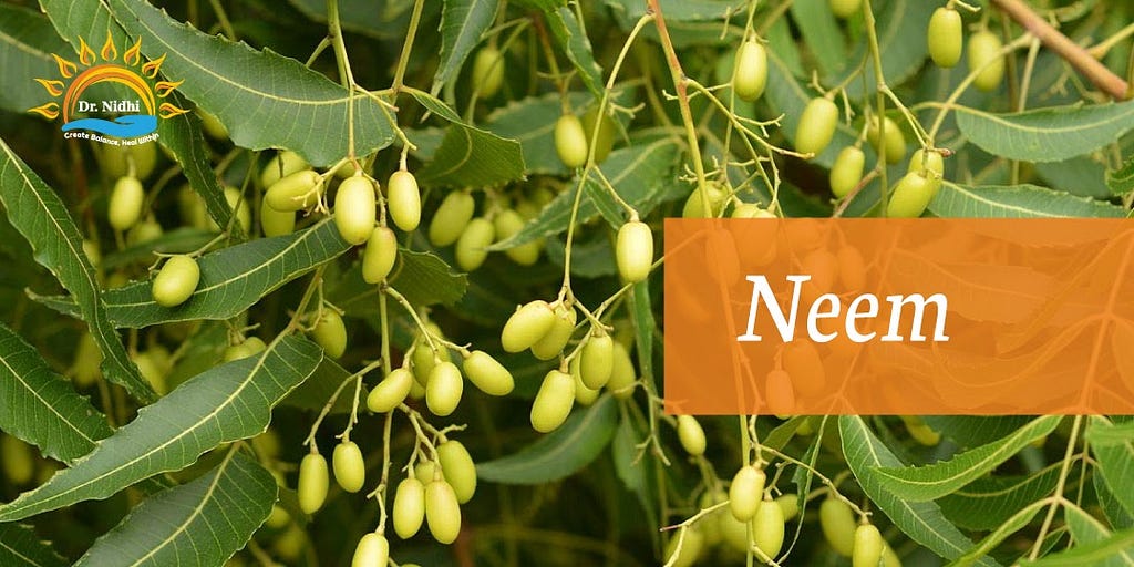 Neem | Natural Remedies for Viral Fever | PHCC | Holistic Healing | Homeopathy | Dr. Nidhi | Natural Remedies |