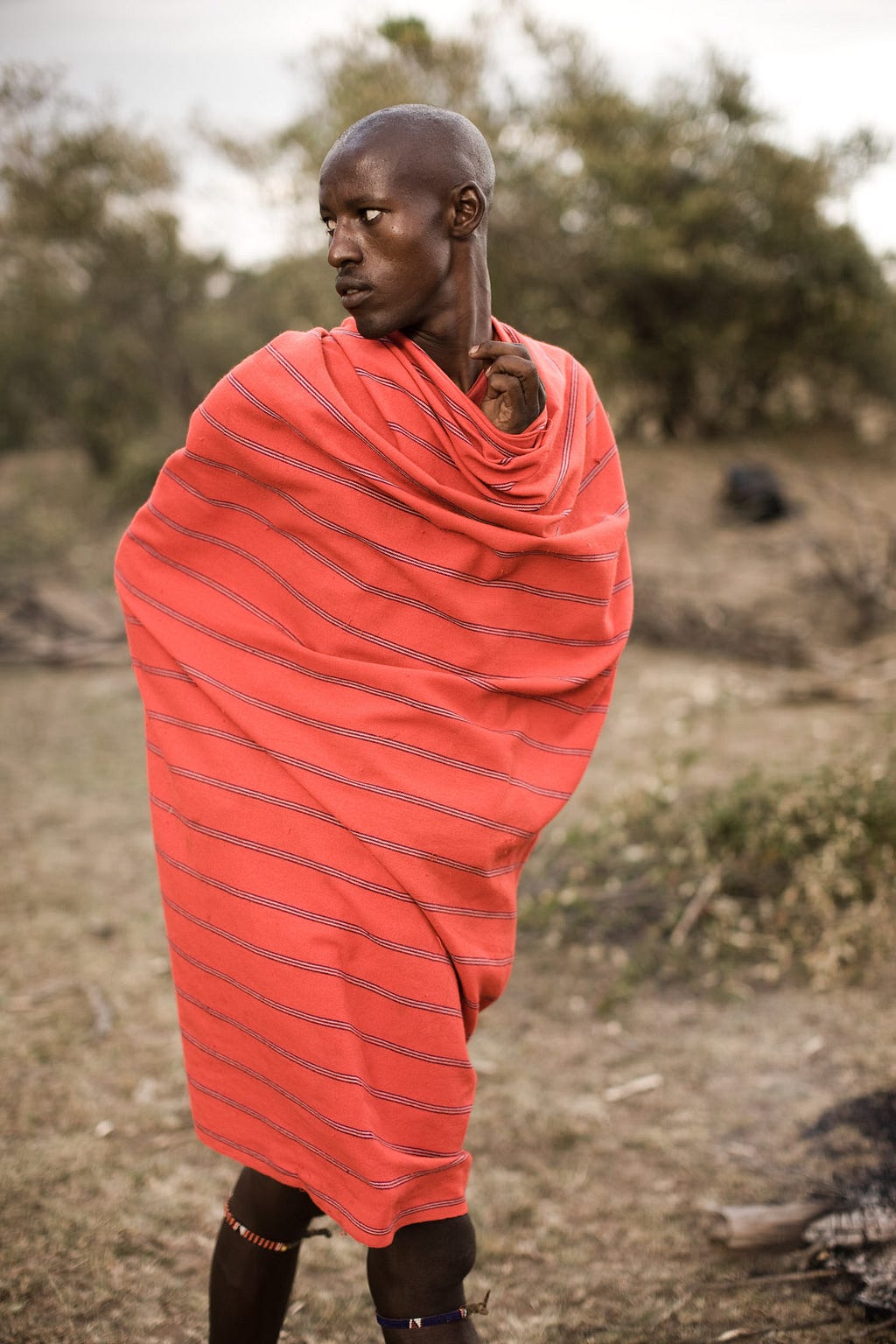 Maasai trade livestock for the purchase of grains, beads, and clothing. Cows and goats are also sold for uniforms and school fees; those sent away from the manyatta to seek higher education often feel like outcasts