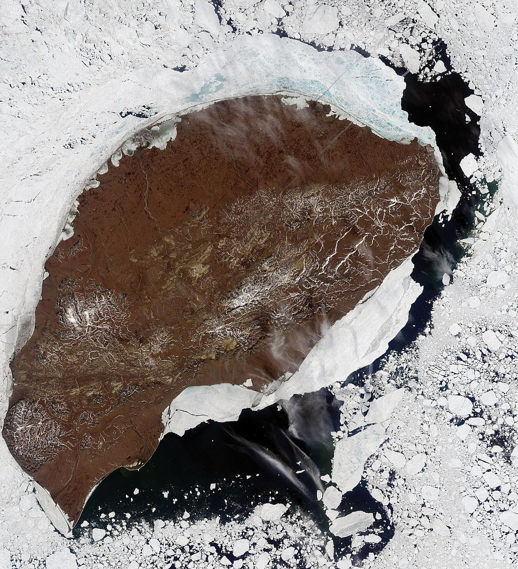 A satellite image of Wrangel Island: a small, desolate piece of rock off the coast of Russia, encased in snow and sea ice.
