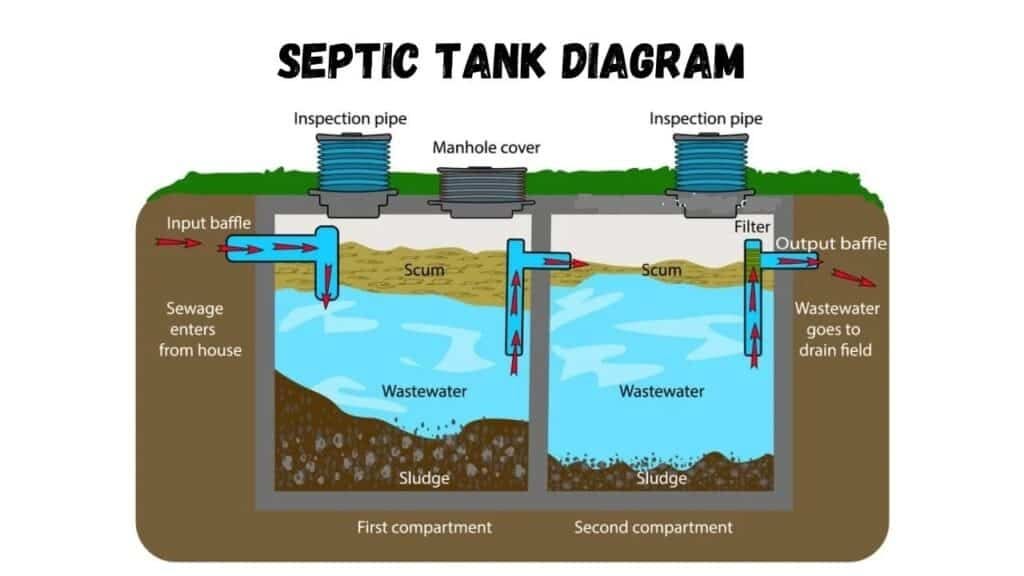 Septic Rank