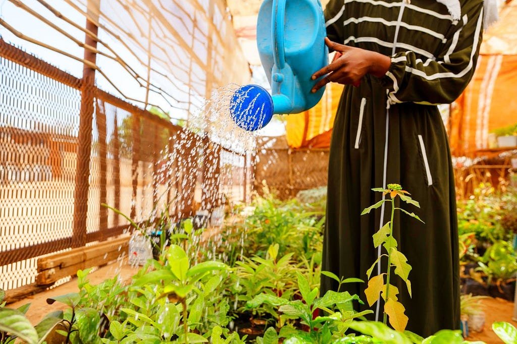 A person waters green plants next to a fence using a blue watering can.