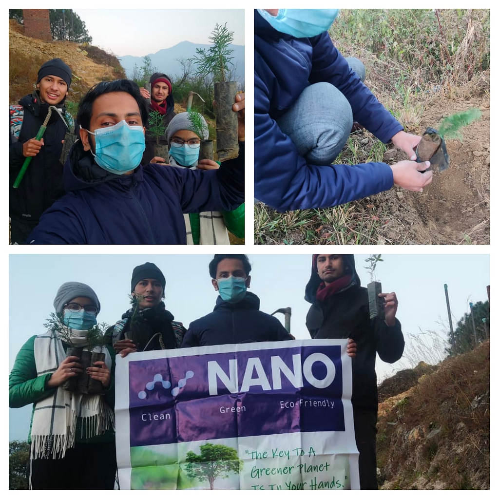 Planting trees with nano