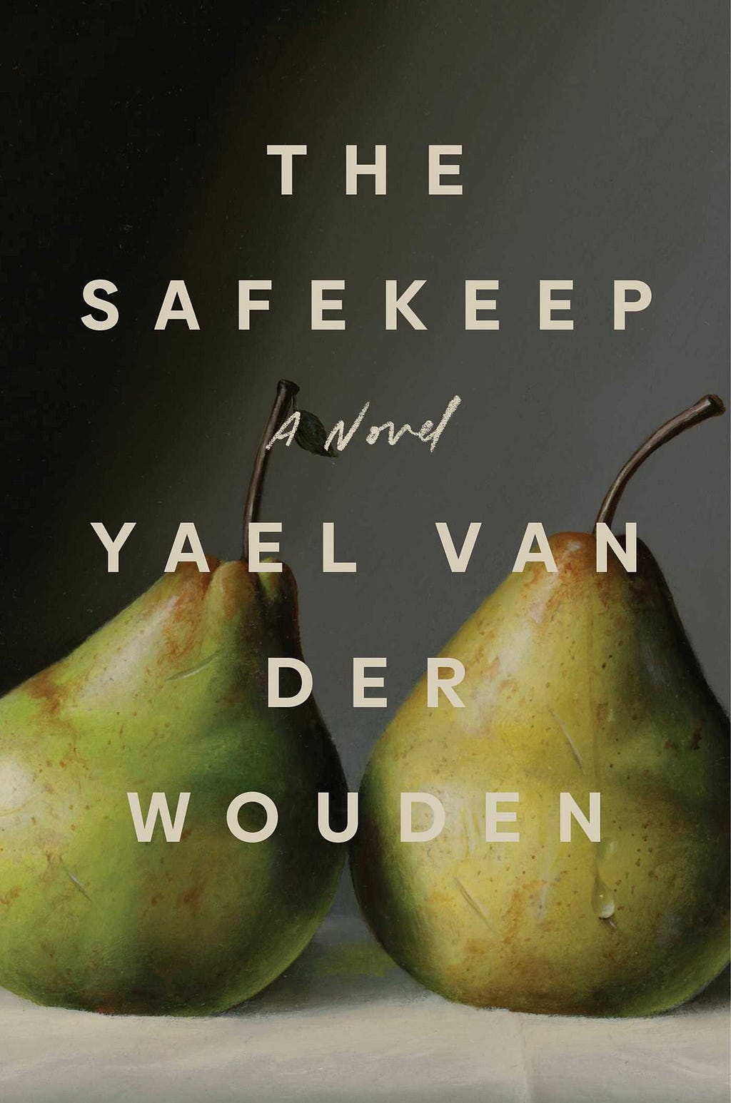 PDF The Safekeep By Yael van der Wouden