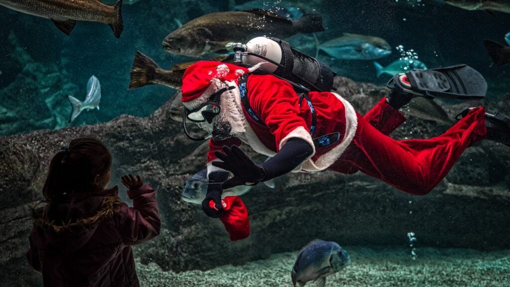 Santa underwater with scuba gear on, surrounded by various fish. Image courtesy of Georges Desipris at Pexels.