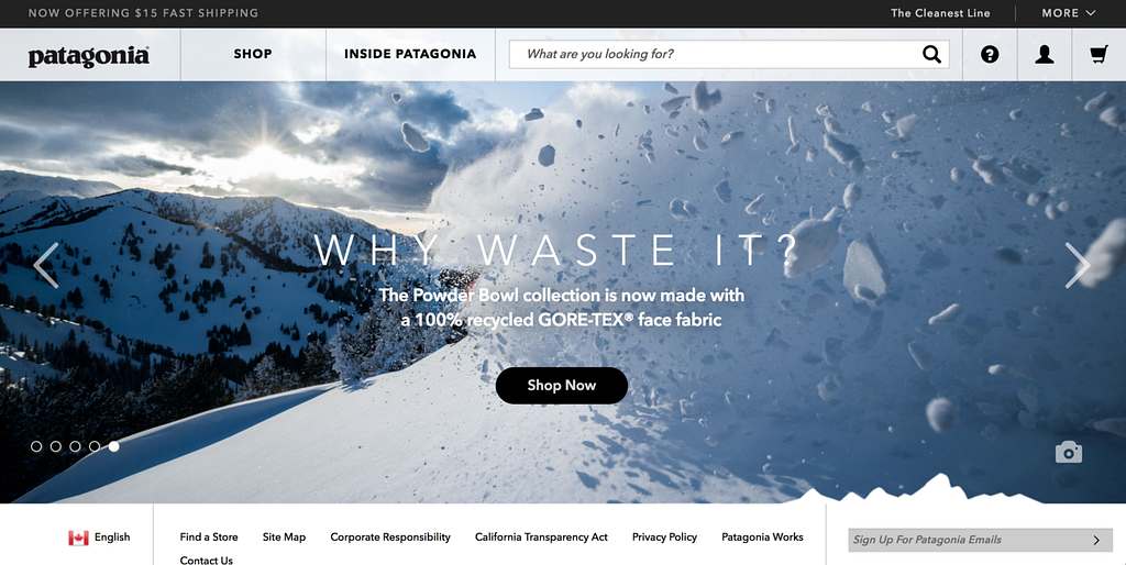 Patagonia’s website landing page. The biggest title on the page is “Why Waste It?” — an environmental activism campaign that Patagonia leads