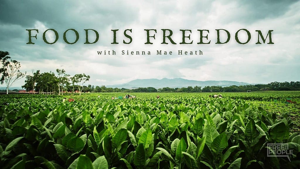 Food is Freedom: A New Interview Series by Sienna Mae Heath on Free the People