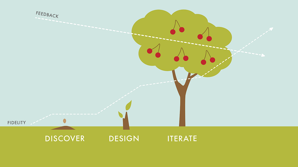 An infographic depicting how feeback decreases and fidelity increases as a seed becomes a seedling and then a tree
